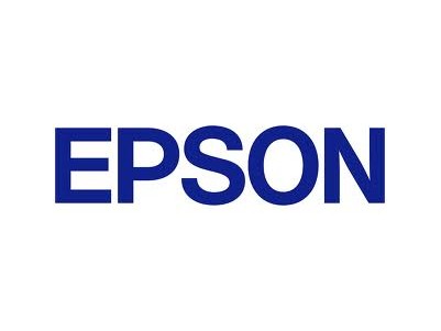 EPSON Singlepack Matte Black T804800