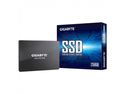 Gigabyte GP-GSTFS31256GTND 256 GB, SSD interface SATA, Write speed 500 MB/s, Read speed 520 MB/s