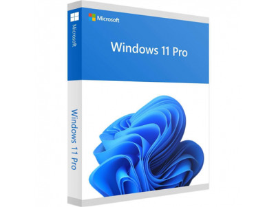 Microsoft FQC-10528 Win 11 Pro 64Bit Eng Intl 1pk DSP OEI DVD