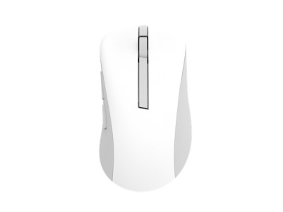 Asus Wireless Mouse | MD102 | Mouse | 2.4 GHz, Bluetooth | White