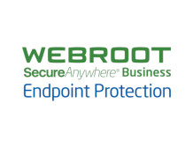 Webroot | Business Endpoint Protection with GSM Console | Antivirus Business Edition | 1 year(s) | License quantity 10-99 user(s