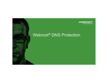 Webroot | DNS Protection with GSM Console | 1 year(s) | License quantity 10-99 user(s)