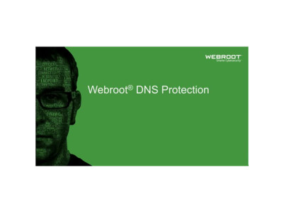 Webroot | DNS Protection with GSM Console | 1 year(s) | License quantity 10-99 user(s)