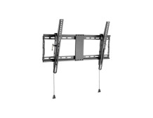 Gembird | Wall mount | Tilt | 37-80 " | Maximum weight (capacity) 70 kg | Black